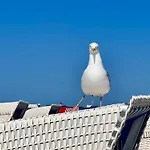 Zuhause Am Meer Mit Sonnenbalkon In Strand- Und Altstadtnaehe