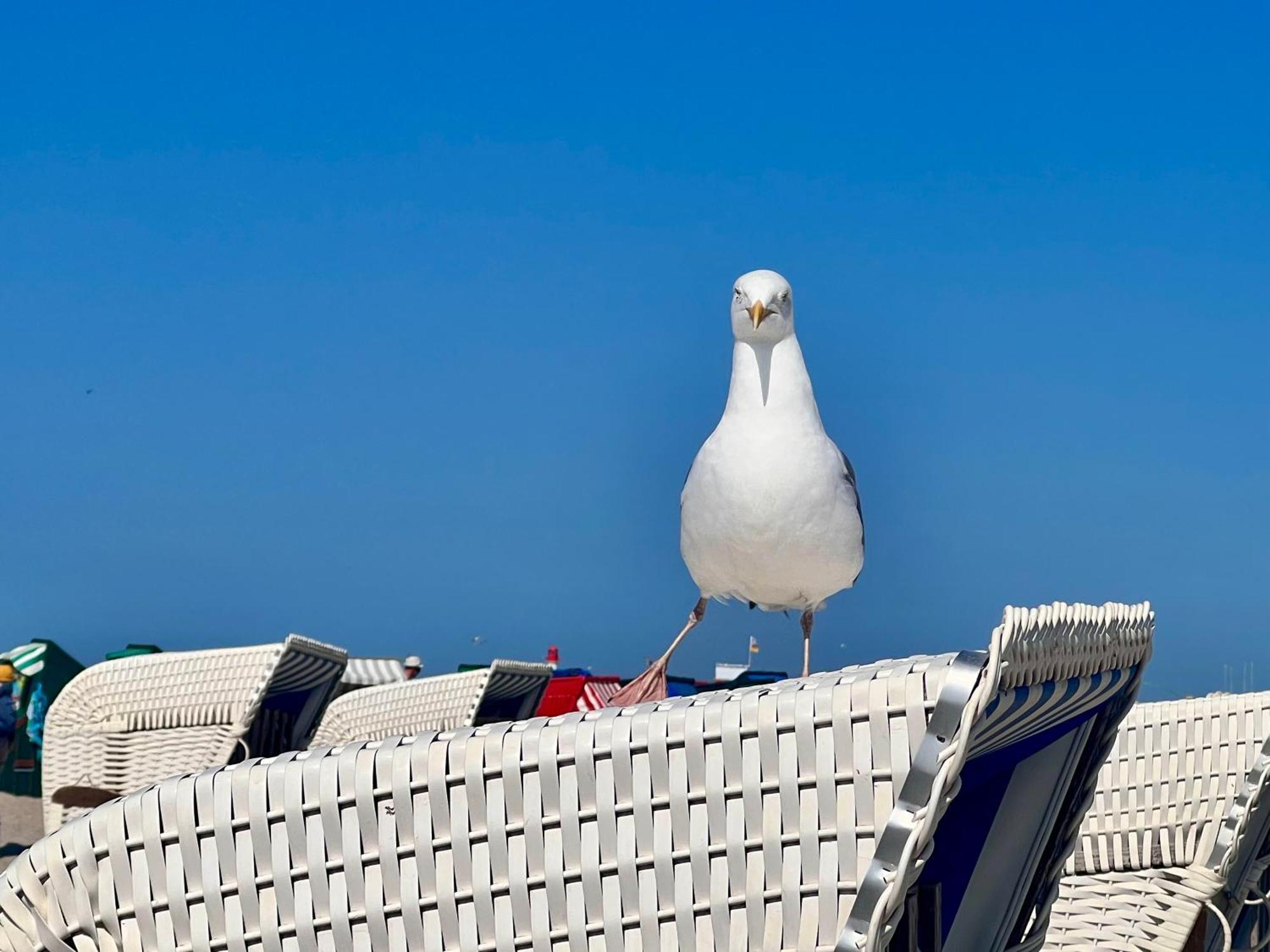 Zuhause Am Mit Sonnenbalkon In Strand- Und Altstadtnaehe Apartment Rostock